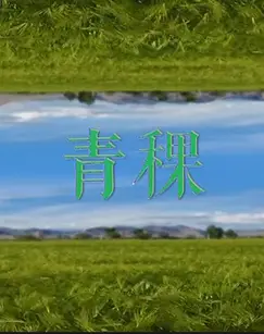 《青稞》：藏族乡村的爱情与希望，在高原上绽放
