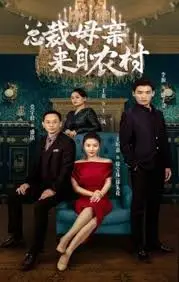 总裁母亲来自农村 海报