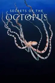 《章鱼的秘密》：深海智慧生物震撼揭秘