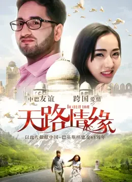 天路情缘 海报