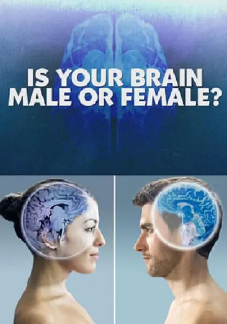 《你的大脑是男性还是女性》：一部颠覆认知的纪录片，探索性别差异的神经科学