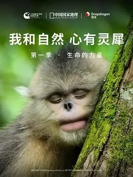 《我和自然 心有灵犀》第一季：生命的力量，探寻地球万物间的奇妙共鸣