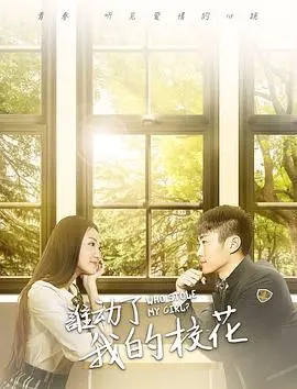 《谁动了我的校花》：校园青春的白月光与朱砂痣，一场笑泪交织的成长记！
